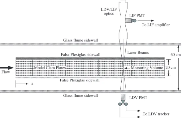 Fig. 1. Top view of the flume test section showing the model clam plates, false sidewalls, and the LDV/LIF optical measurement system.