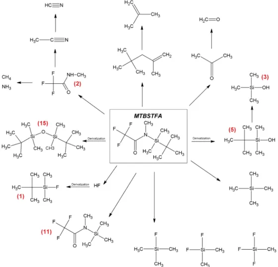 Figure 11. By ‐ products of the N ‐ tert ‐ butyldimethylsilyl ‐ N ‐ methyltri ﬂ uoroacetamide (MTBSTFA) detected in this study and by Sample Analysis at Mars