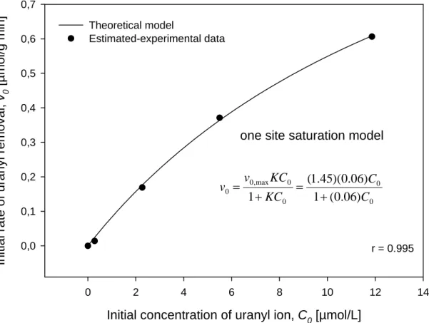 Figure 4. Fitting of initial rate of uranyl removal as a function of initial concentration of  uranyl ion