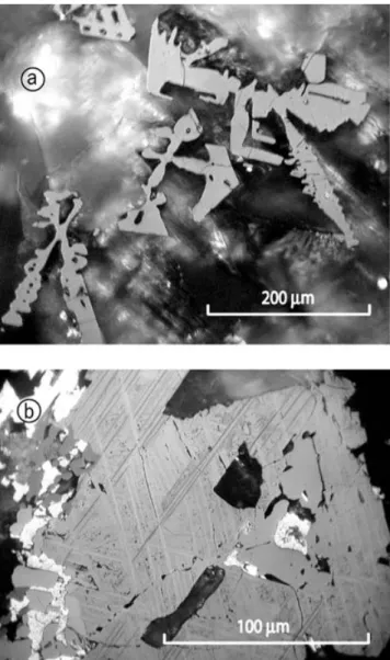Figure 2. Microscope examination of titanomagnetites in reflected light. (a) Squeletal shape titanomagnetites displaying few low temperature shrinkage cracks