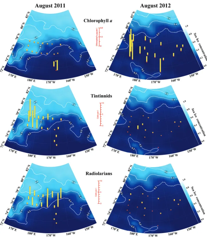 Fig. 3. Spatial distribution of concentrations of chlorophyll a, tintinnid and radiolarian abundances (values per liter, integrated through the  0–100 m depth segment of the water column) in August 2011 and 2012