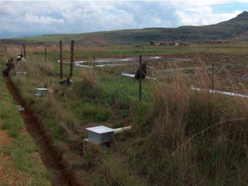 Fig. 5. A set of runo ff plots in the controlled research site.