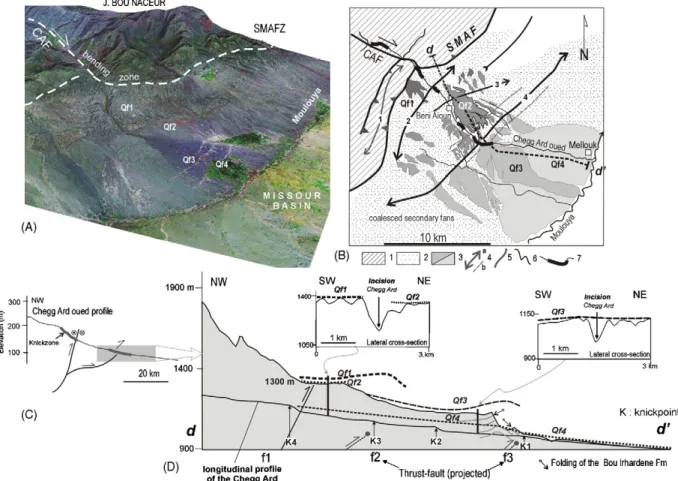 Fig. 3. Morphotectonics of the lower Chegg el Ard Valley. (A) Digital Elevation Models that result from Shuttle Radar Topographic Missions (SRTM) of the Chegg el Ard Valley and the central Missour Basin