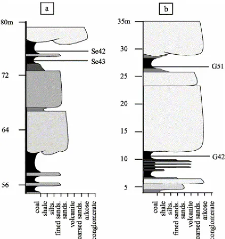 Fig. 3. Stratigraphic location of the examined samples. (a) G51 unaltered sample and its oxidised  homologous G42 sample (St Etienne)