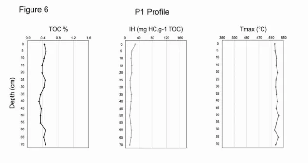Fig. 6. Rock-Eval 6 measurements along P1 profile. Total organic carbon (TOC - %); 