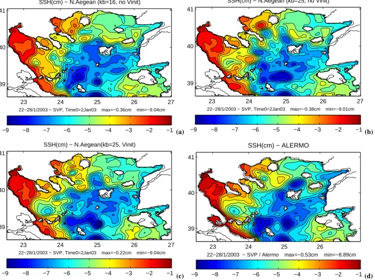 Fig. 5. Sea surface height weekly averaged for 22–28 January 2003 as simulated by (a) the N