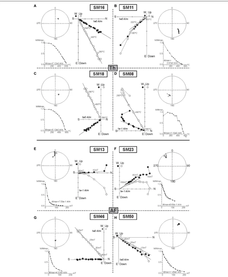 FIGURE 4 | Typical demagnetization diagrams obtained by (A–D) thermal (Th) and (E–H) alternating field (af) treatments for 8 representative samples