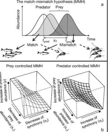 Fig. 1. The match-mismatch hypothesis (MMH) for the 2 models evaluated. (a) Cushing’s (1969, 1990) MMH based on time synchrony between predator (pred) and prey (prey) (t pred −  t prey =  x 2 , the peaks time difference, Peaks T diff).