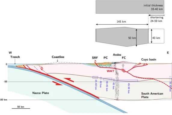Figure 10 illustrates our final crustal-scale cross-section, built by combining our structural data on the  Principal Cordillera (Figure 7), together with data on the eastern Andean front and on Moho depths