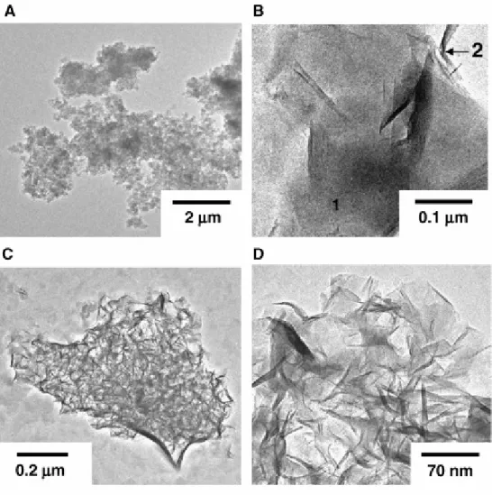 Fig. 7. TEM images of SM 0.33  samples. (A) Amorphous phase GM 0.33  before hydrothermal  synthesis