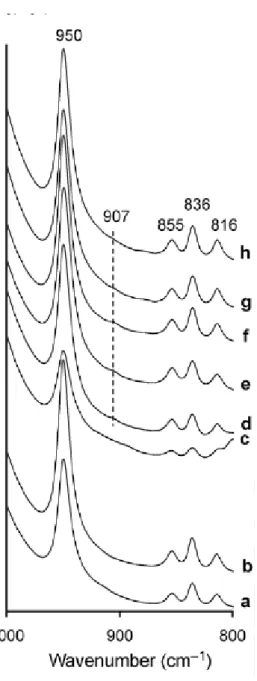 Figure 4: Infrared spectra of pyrophyllites in the OH bending zone after acid treatment (noted  -T) if necessary