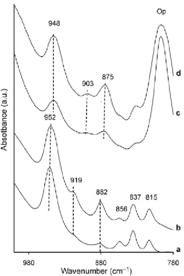 Figure 7: Infrared spectra of synthetic pyrophyllites in the OH bending zone. (a) PAl-1, (b)  PAl-2, (c) PFe-1, (d) PFe-2