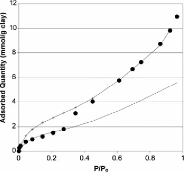 Fig. 4. Adsorption of water onto synthetic beidellite at 298 K. Dots: experimental data