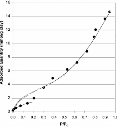 Fig. 6. Adsorption of water onto synthetic montmorillonite at 298 K. Dots: experimental data