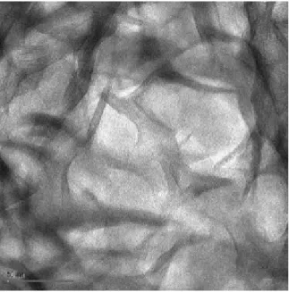 Fig. 9. TEM photographs of the montmorillonite. Black bar corresponds to 50 nm. 