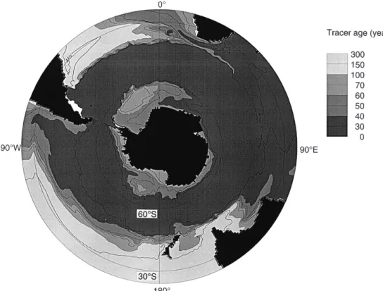 Fig. 8. A horizontal section at 120 m illustrating the age of tracer introduced at the Drake Passage (71  W)