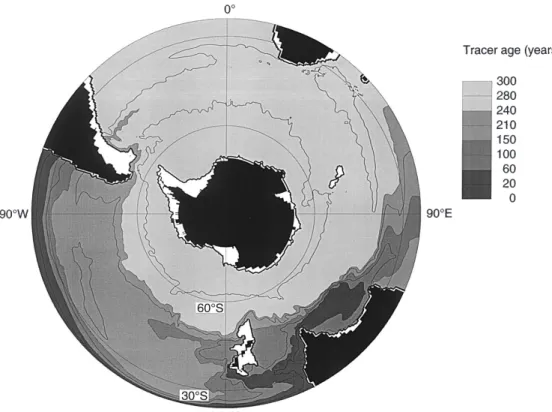 Fig. 4. A horizontal section at 1087 m illustrating the age of tracer introduced at the Paci®c Ocean boundary (24  S)