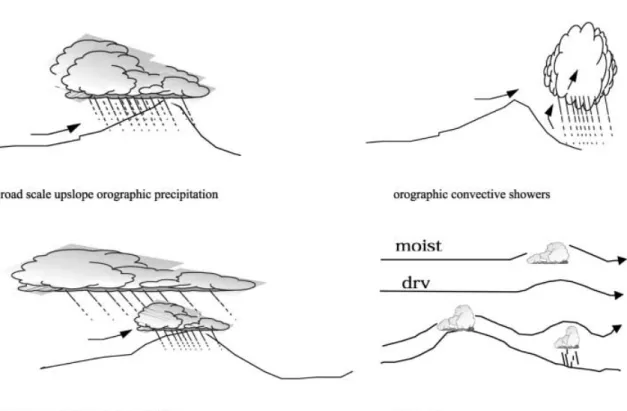 Fig. 2. The seeder-feeder process of the orographic enhancement of wet deposition