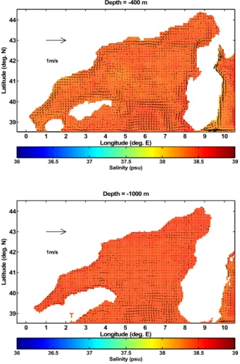 Fig. 18 Velocity field and horizontal distribution of salinity: at 400-m depth (upper panel) and at 
