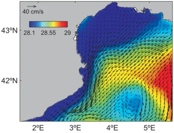 Fig. 5. Time-averaged vertical velocity at a depth of 95 m. The units are m/day. The 200 m isobath is plotted with a black line.