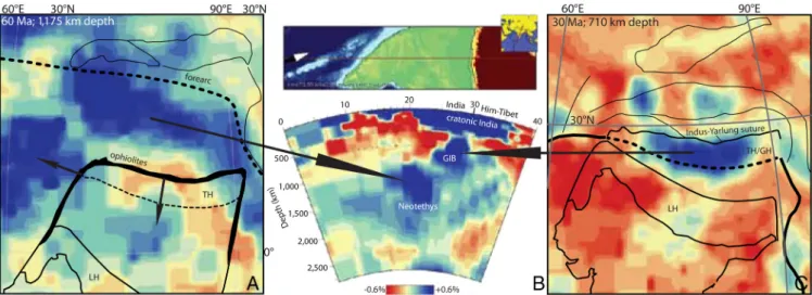 Fig. 4. Seismic tomographic images of subducted slabs compared to India – Asia restorations