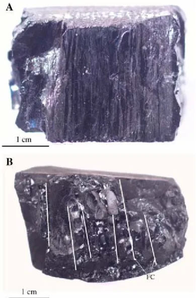 Fig. 4. Coal block from the Corbett Creek area showing alternating mainly bright to semi- semi-bright lithotypes (A); Core showing development of face cleats (FC) with narrow spacing  (~ 0.5 cm) and short, discontinuous butt cleats (B)