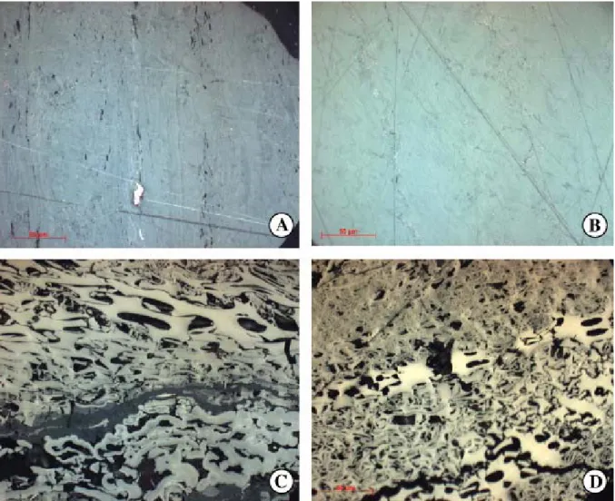 Fig. 7. Photomicrographs of the Main Seam at 1095 m, well 2-21-60-6W5 (Lat 54°3′N and  Long 114°9′W), Corbett Creek area, under white light