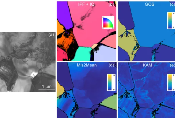 Figure 10. Morphology of the grains and grain boundaries in CMT16-4 deformed at 1273 K