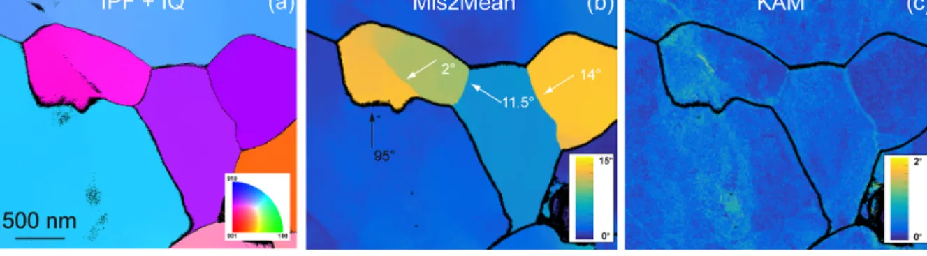 Figure 2. Morphology of the grains and grain boundaries in CMT16-13 deformed at 1473 K