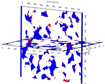 Fig. 5 Map of the microporous regions for subsample SubV0 (blue = void, red = microporosity)
