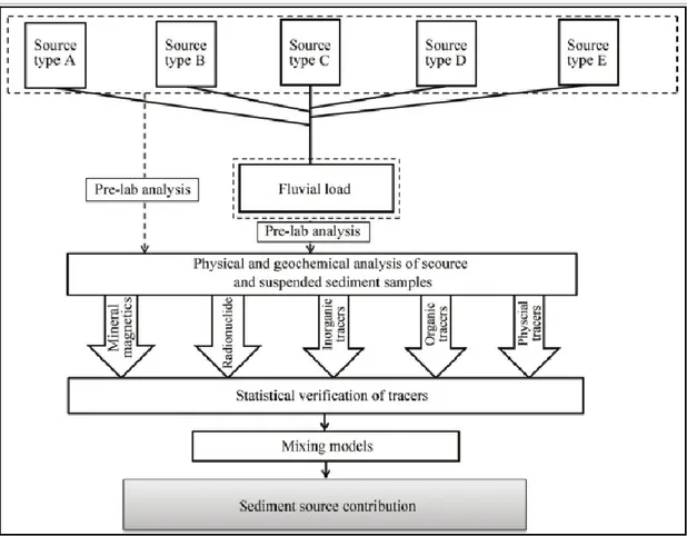 Figure 1.12 : Schéma global des étapes pour le traçage de sédiments (Haddadchi et al., 2013)