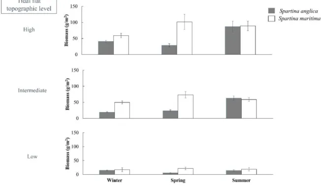 Figure A1. Seasonal biomass (winter, spring and summer) of Spartina anglica (dark bars) and Spartina  maritima (white bars) at three tidal flat relative topographic levels