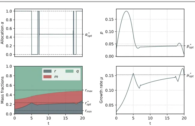 Figure 3: Numerical simulation of (OCP) obtained with Bocop, for the parameter values derived in Section 4