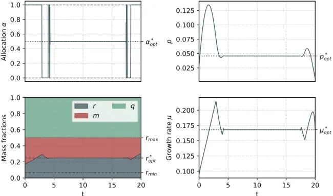 Figure 5: Numerical simulation of the optimal control problem starting from a steady state.