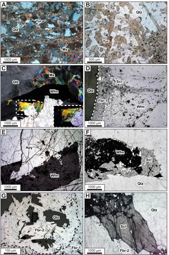 Fig. 6. Photomicrographs of mineral assemblages for paragenetic stages I to VI of the Puy-les-Vignes deposit