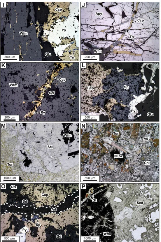 Fig. 6. (continued) (I) Base metal sulﬁde association (pyrite, chalcopyrite and tennantite) overprinting wolframite (stage III; reﬂected light, sample PLV-02-29)