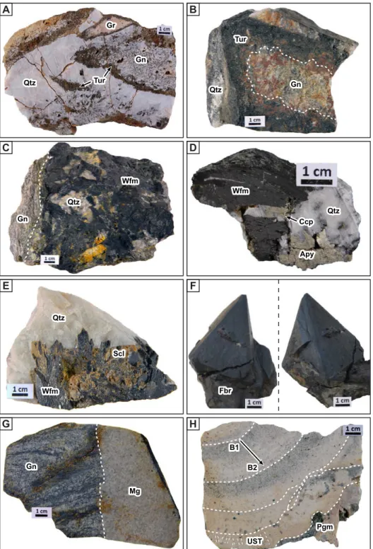 Fig. 4. Representative samples of host rocks and orebodies from the Puy-les-Vignes deposit