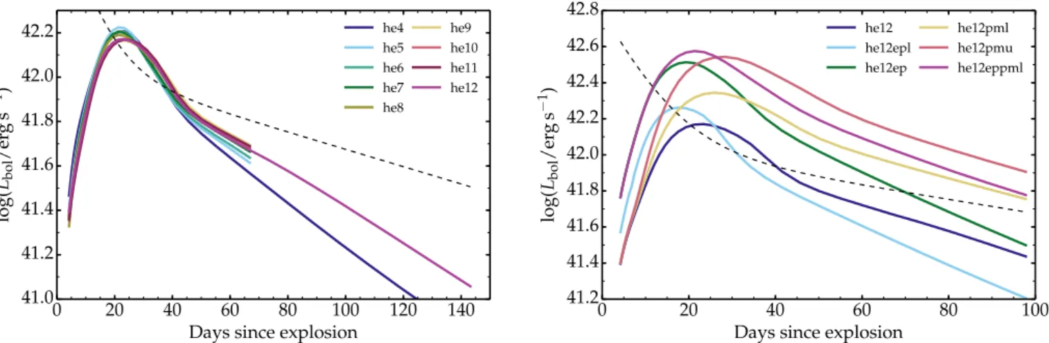 Fig. 2. Left: bolometric light curves computed with CMFGEN for the explosion models based on He-star models he4 to he12