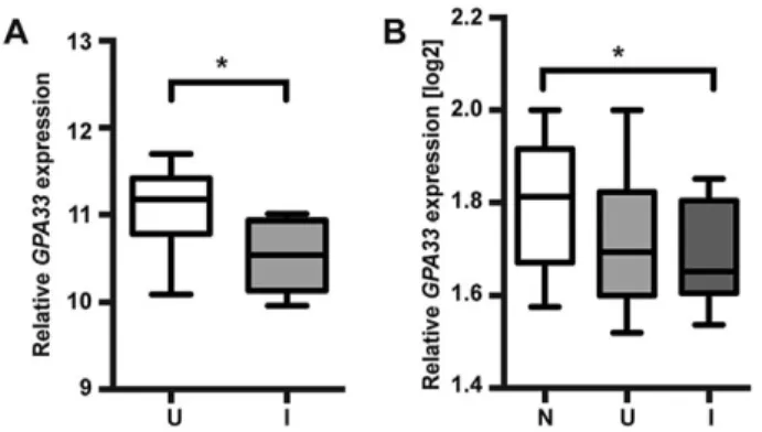 Fig. 7. GPA33 expression is reduced in the inflamed bowel of individuals with IBD. Relative GPA33 expression in normal (N), uninflamed (U) and inflamed (I) bowel of individuals with IBD represented as whisker and box plots;