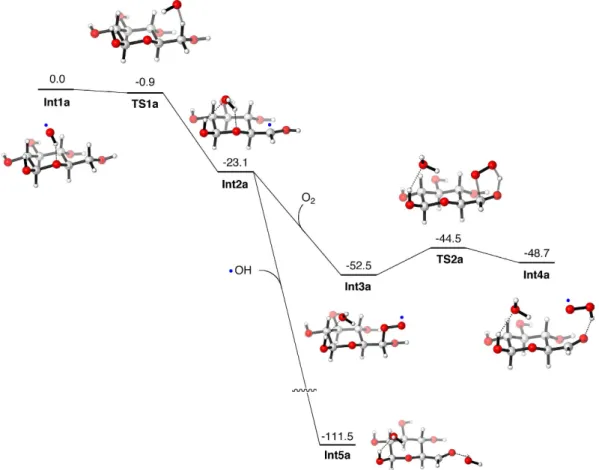 Figure 5.  Enthapy profiles (in kcal mol −1 ) for the formation of an aldehyde species in (a) path a and (b) path b
