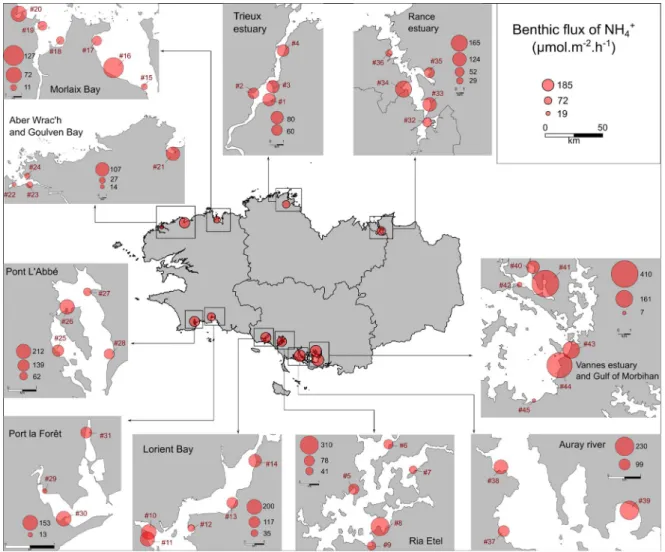 Figure 3. Spatial variability of the NH + 4 e ffl uxes ( µ mol · m − 2 · h − 1 ) from the sediment collected on 45 sites in Brittany (France)