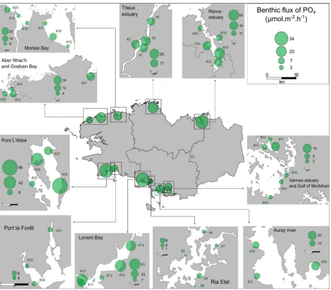 Figure 4. Spatial variability of the PO 4 e ffl uxes ( µ mol · m −2 · h −1 ) from the sediment collected on 45 sites in Brittany (France)
