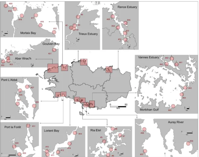 Figure 1. Location of mudflats (n = 12) and sites of sampling (n = 45) in spring (April until June) 2019.