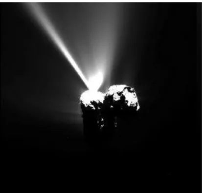 Figure 1.19: Photographie du noyau de la comète Wild 2 par la sonde Stardust, en Janvier 2004
