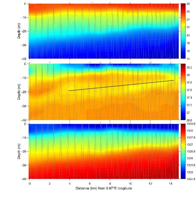 Figure 10. Contour plots of temperature (°C, top), salinity (middle) and density (kg/m 3 , 667 