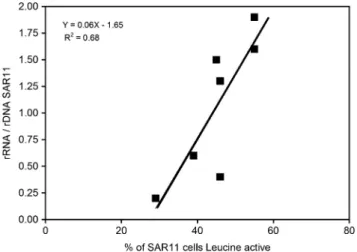 Figure 6 rRNA/rDNA activity ratios and abundance of SAR11 ecotypes. (a) The relationship between ecotype activity (rRNA/