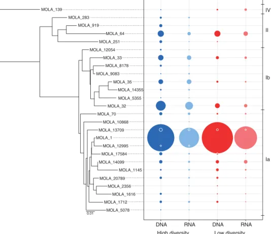 Figure 2 Phylogenetic relationship and relative abundance of SAR11 OTUs. Only SAR11 OTUs representing 40.2% of total SAR11 OTU sequences are included