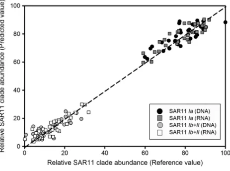 Figure 4 Partial least squares regression model of SAR11 ecotype abundance. (a) The relationship between modelled and observed SAR11 ecotype distributions from ribosomal RNA gene copies and ribosomal RNA tag-sequence data