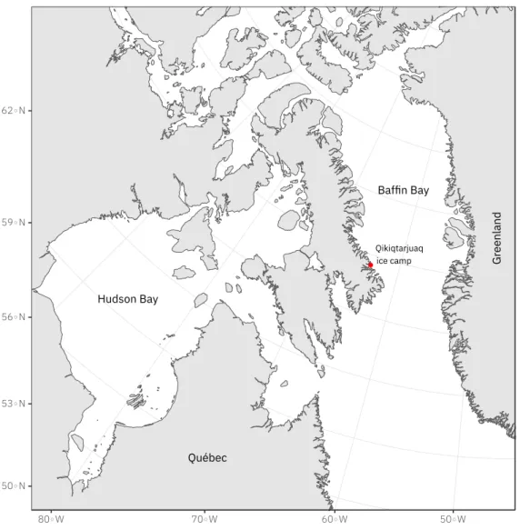 Figure A1. The field campaign was part of the GreenEdge project (www.greenedgeproject.info) which was conducted on landfast ice southeast of the Qikiqtarjuaq Island in the Baffin Bay (67.4797 N, 63.7895 W).