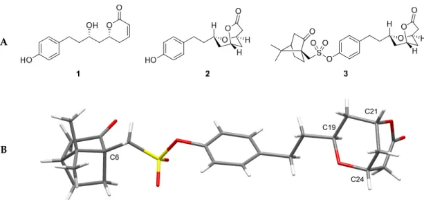 Figure 1. (A) Dodoneine 1 and its modification to a bicyclic lactone 2 and its camphorsulfonate  analogue 3; (B) X-ray structure of camphor sulfonate 3